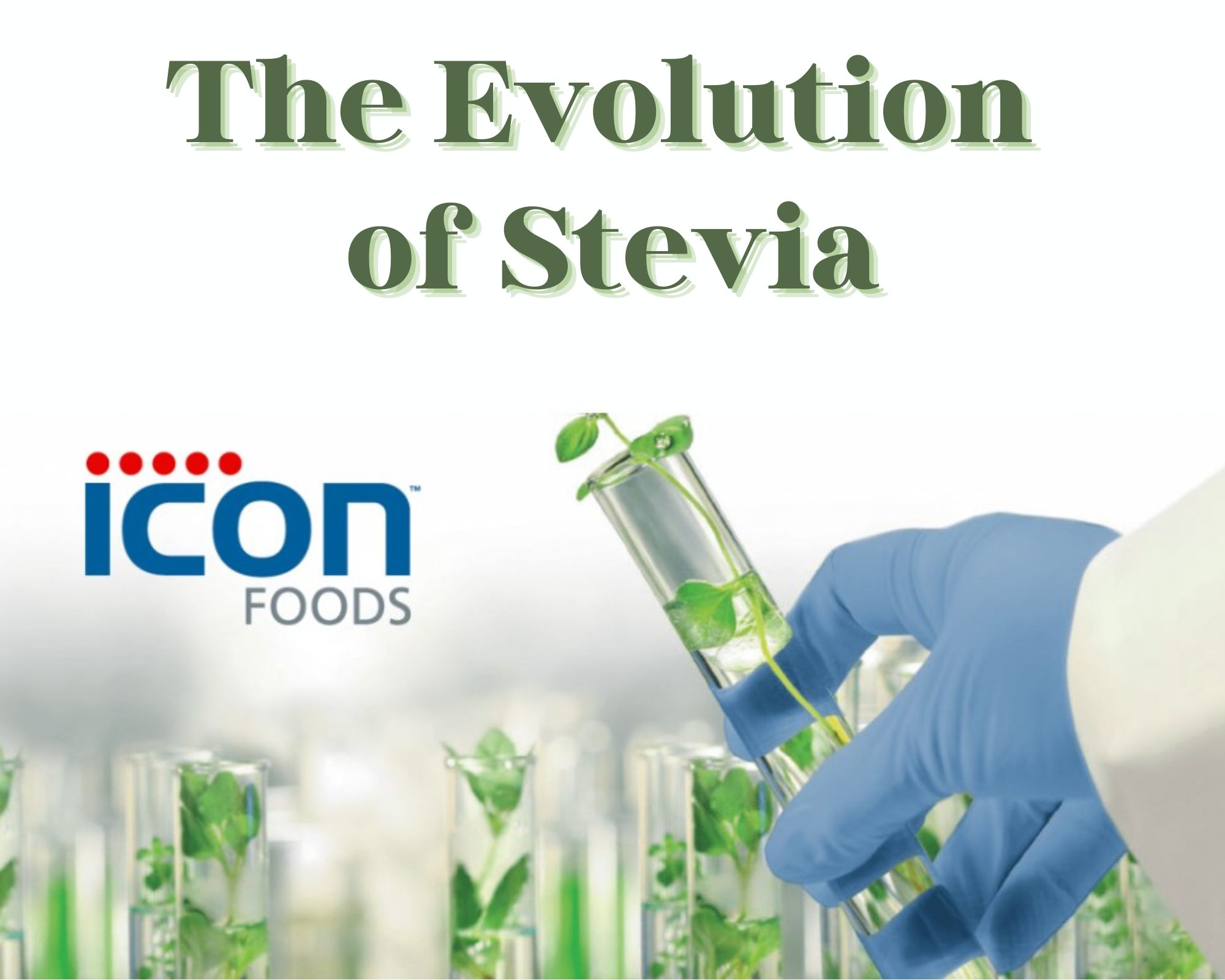 Icon Foods Logo Evolution of Stevia