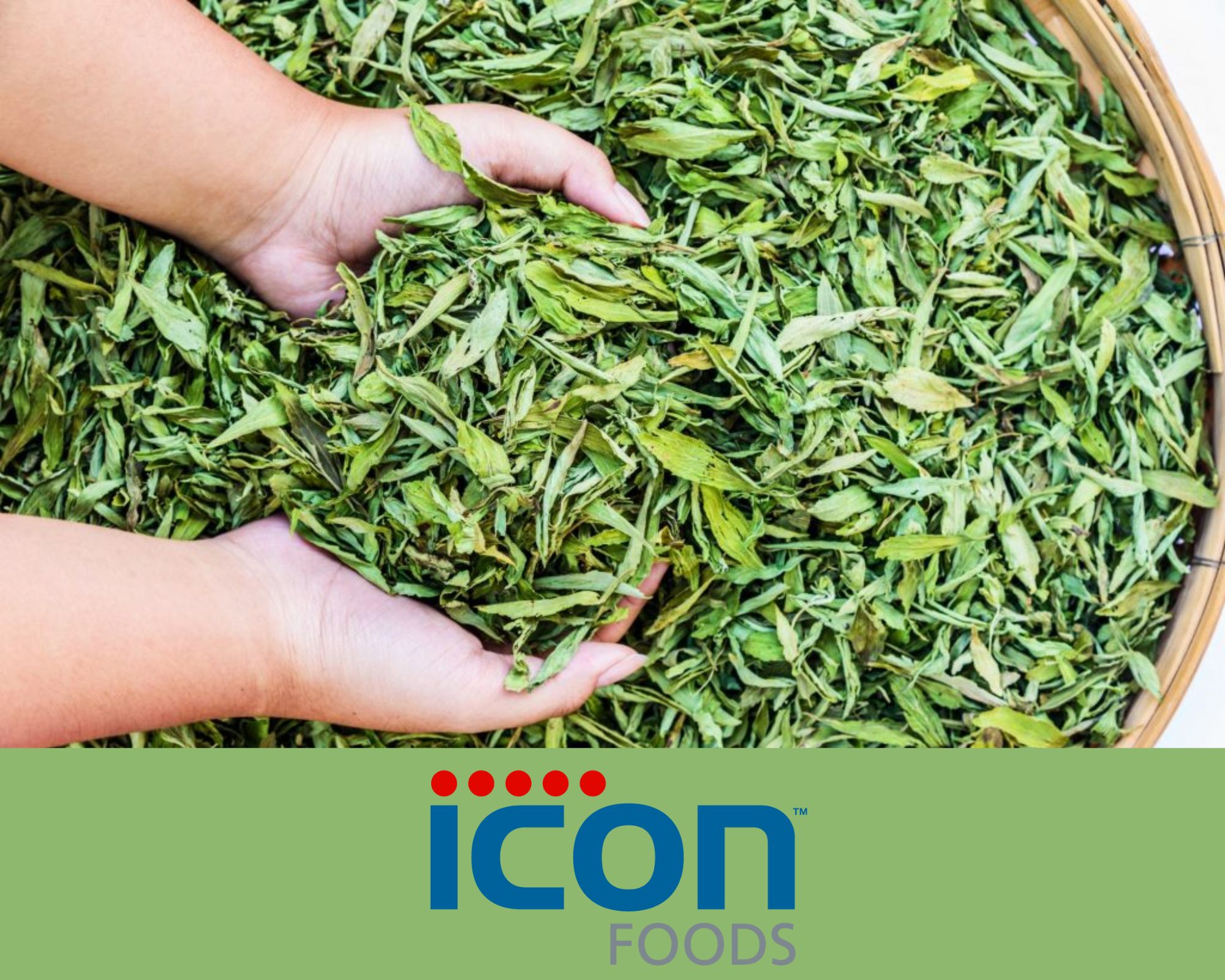 Icon Foods Stevia Logo