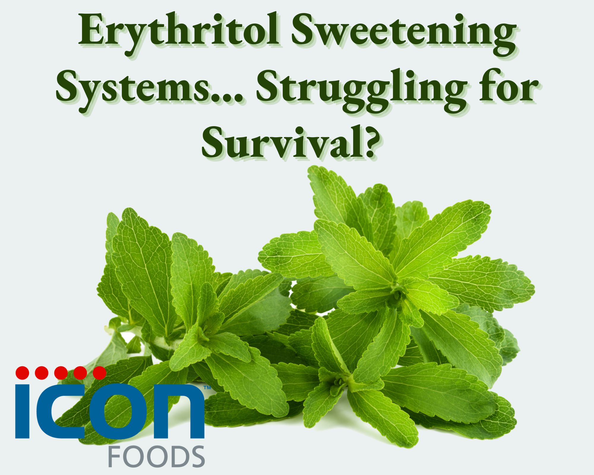 Icon Foods Erythritol Corn Shortage Insights