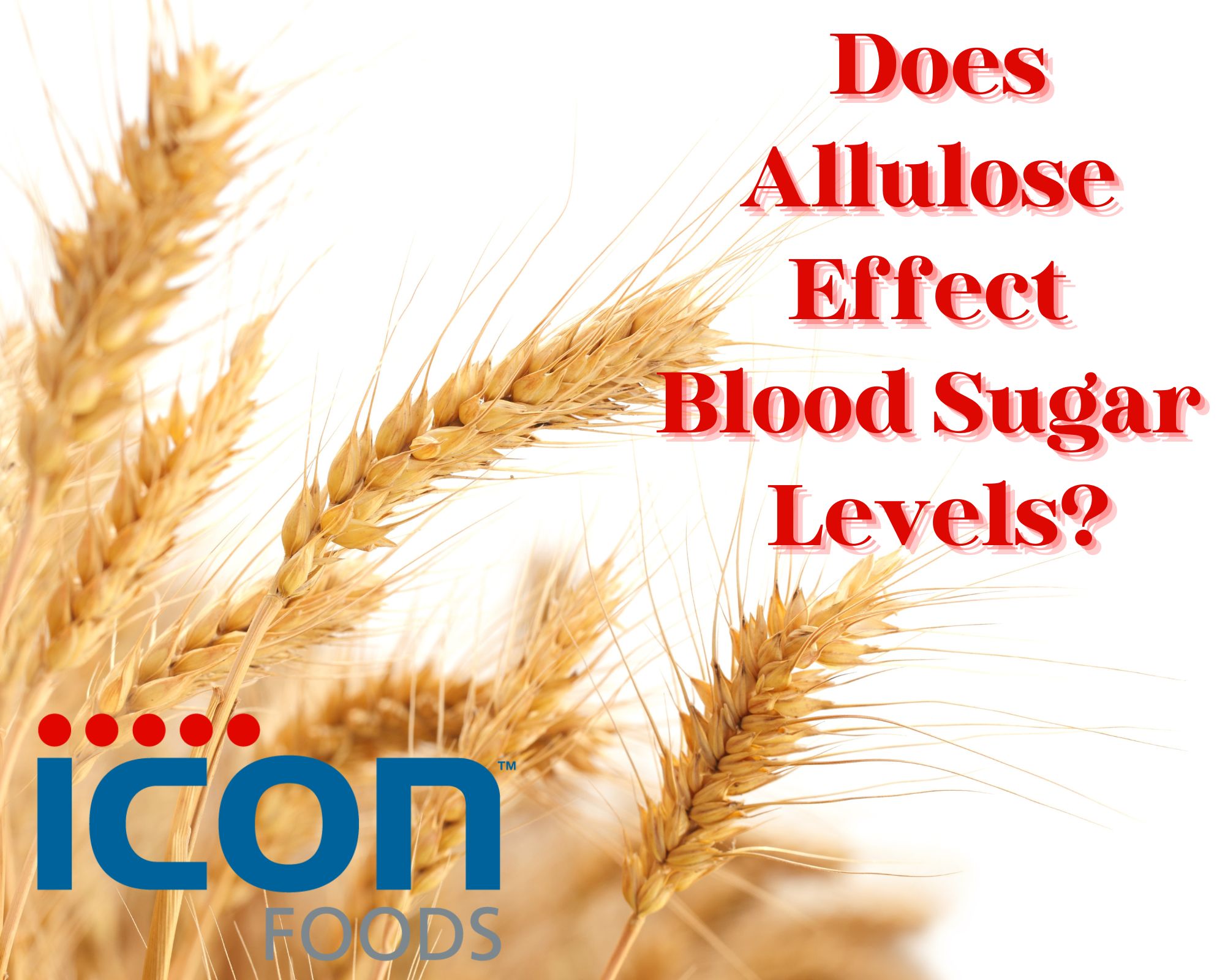 Icon Logo_Allulose Blood Sugar Levels