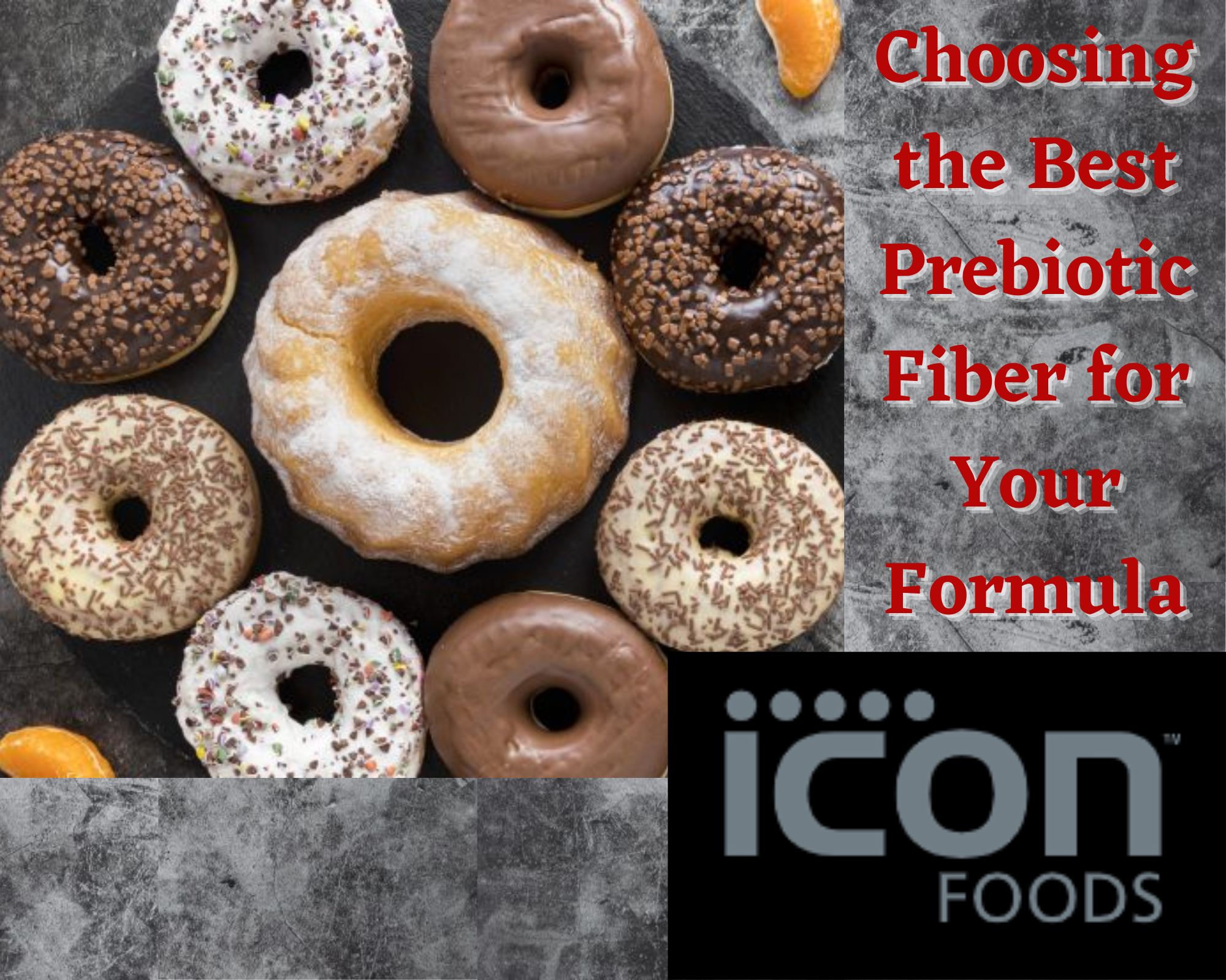 Icon Logo_Choosing the Best Prebiotic Fiber