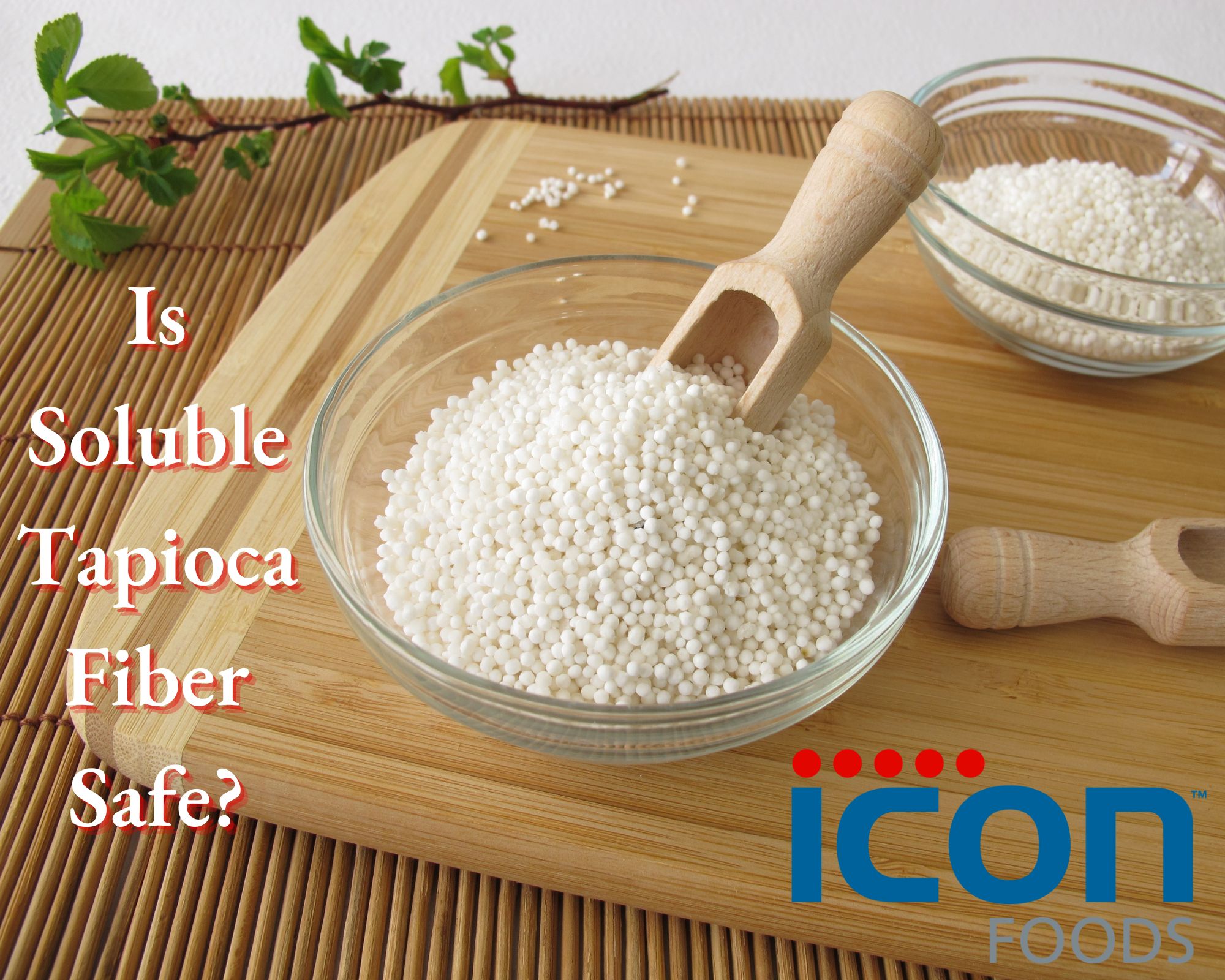 Icon Logo_Soluble Tapioca Fiber